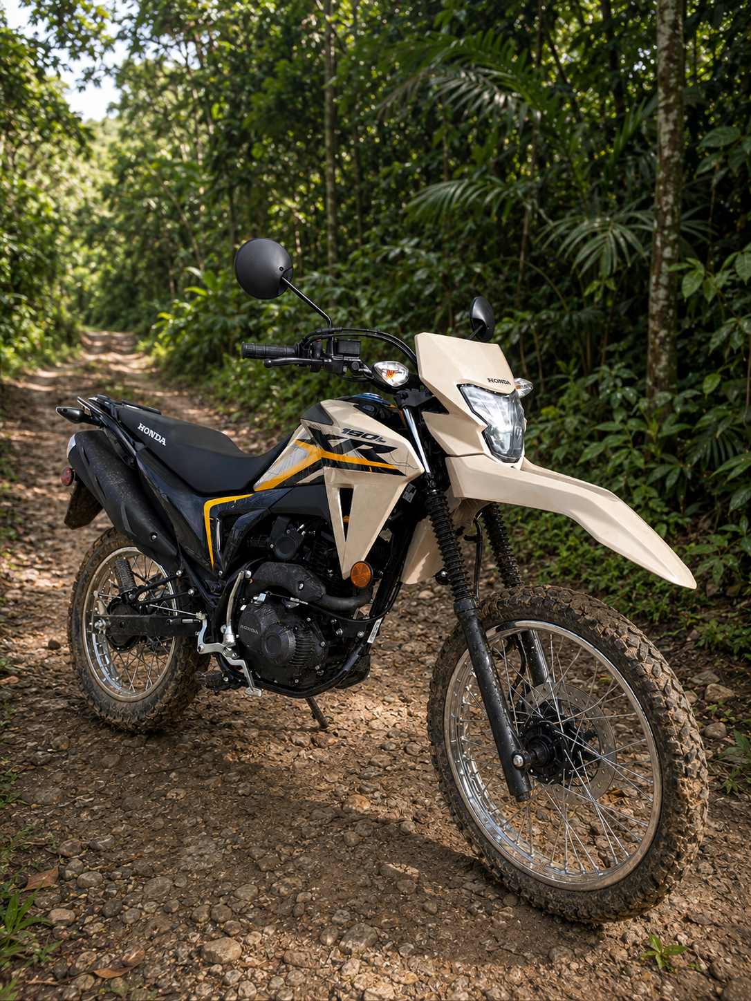 Honda Motor Bikes
