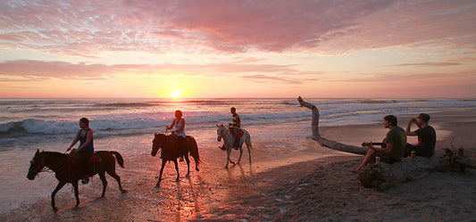Horseback Riding Tour