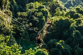 Montezuma Zipline